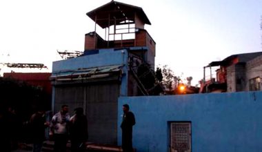 Evinin damında kuş uçururken öldürüldü!